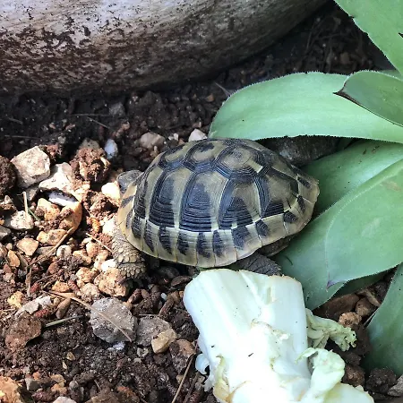 Camp Marina 假日公园 *